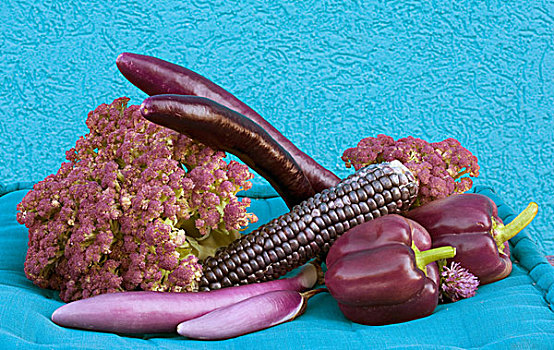 紫色,蓝色,蔬菜,玉米,花椰菜,土豆,茄子,胡椒,塞尔维亚