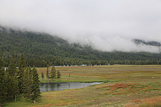 喀纳斯湖美景