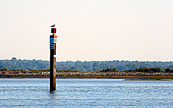 法国,阿基坦,水道,灯塔