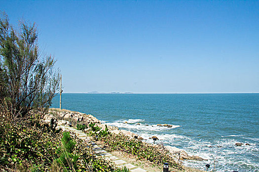 海岸植被海平面