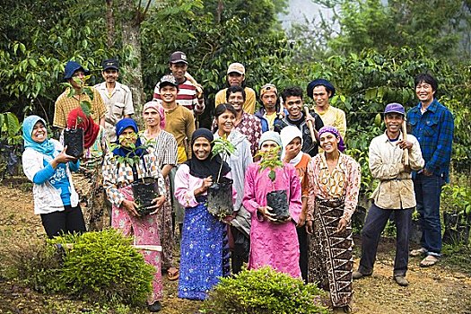 肖像,工人,不动产,咖啡种植园,苏门答腊岛,印度尼西亚