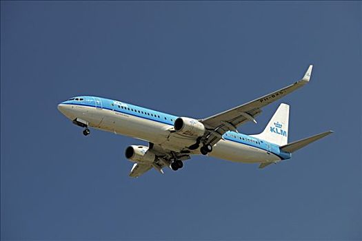 波音737,航空公司