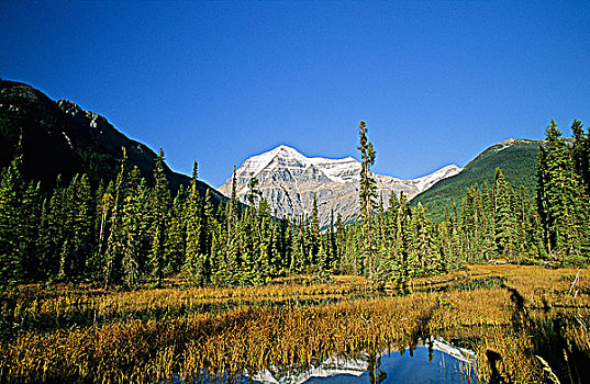 罗布森山,罗伯逊山省立公园,不列颠哥伦比亚省,加拿大