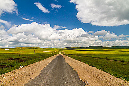 内蒙古草原道路