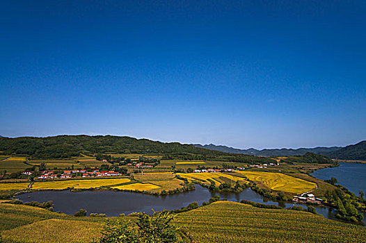 秋季乡村的田野