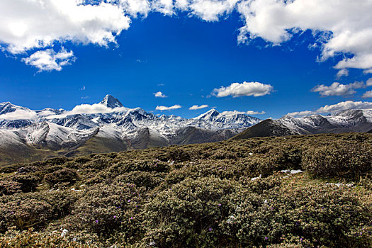 阳光下的贡嘎雪山远景