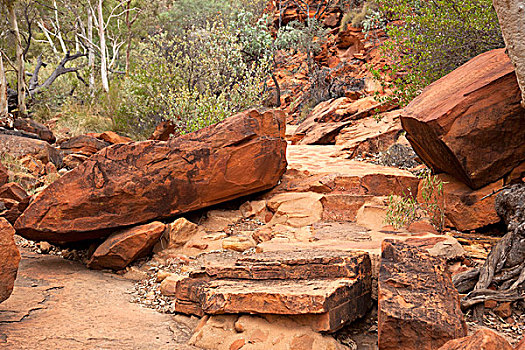 古老,红岩,排列,国王,溪流,走,国家公园,国王峡谷,北领地州,中心,澳大利亚