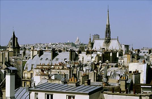 法国,巴黎,屋顶,法庭