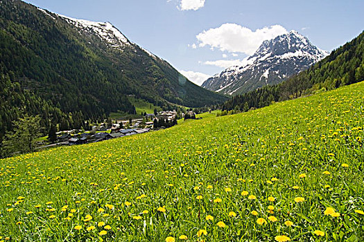 花圃,法国阿尔卑斯山