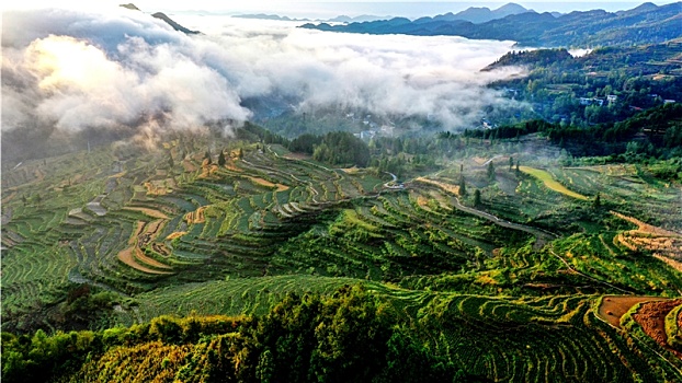 乡村美景