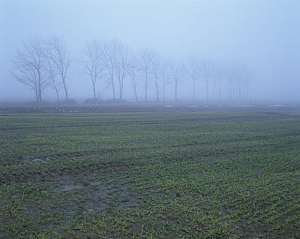 风景,薄雾