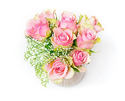 粉色,玫瑰,丝石竹属植物,一个,花瓶,留白