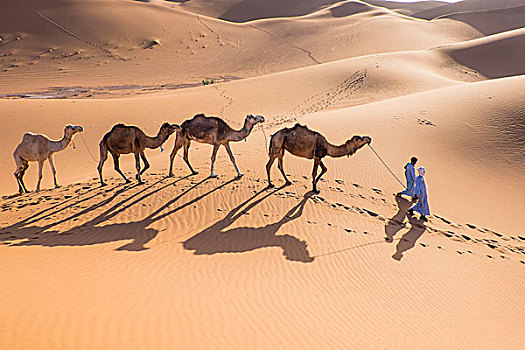 摩洛哥,撒哈拉,沙丘,40岁,宽,高度,却比沙丘