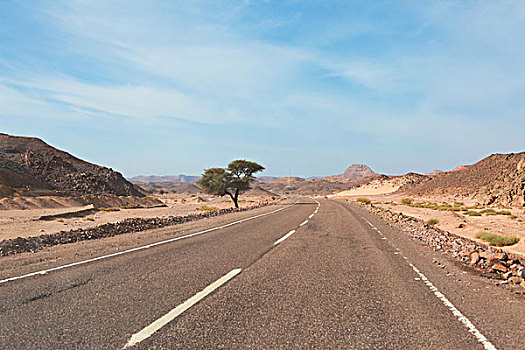 沙漠公路