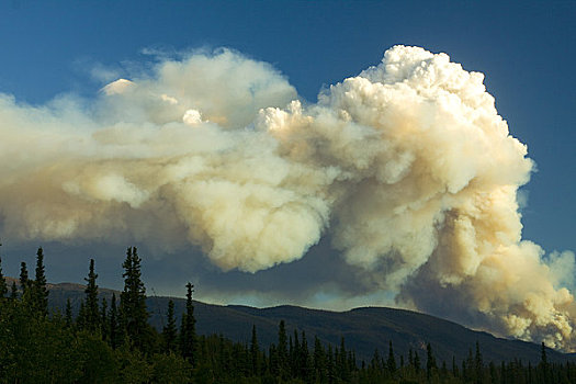 野外,森林火灾,山峦,阿拉斯加公路,东方,湖,育空地区,加拿大