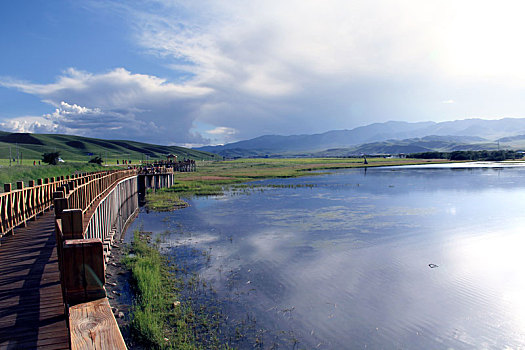 夏河,湿地