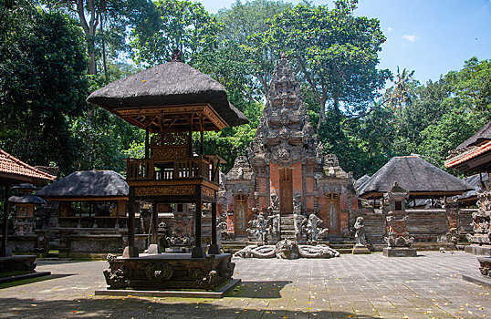 印度教,庙宇,乌布,猴子,树林,神圣,保护区,巴厘岛,印度尼西亚,亚洲