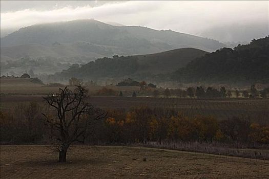 俯视,地点,山,南加州,美国