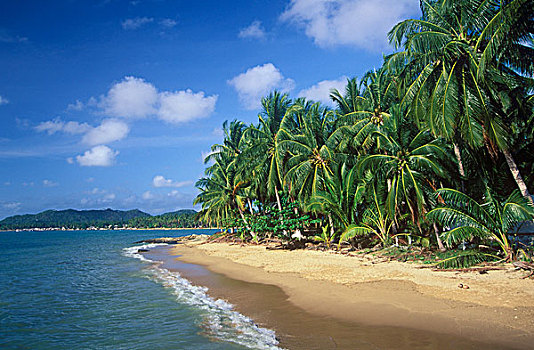 棕榈海滩,海滩,苏梅岛,泰国,亚洲