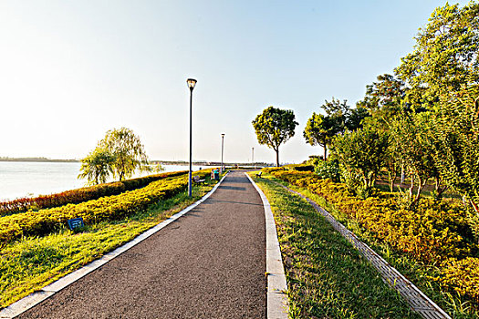 道路