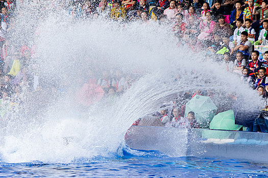海洋公园虎鲸表演观众