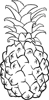 菠萝,水果,上色画册