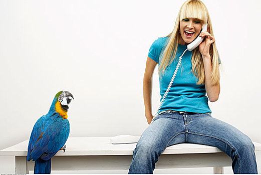 女人,交谈,打电话,旁侧,蓝黄金刚鹦鹉