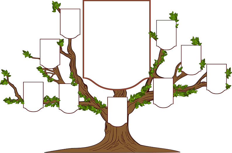 树形结构图ppt模板图片