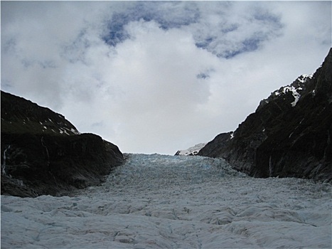 狐狸,冰川,2009年