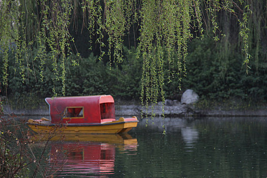 春天湖里的小船