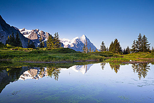 反射,艾格尔峰,顶峰,高山,湖,日出,伯尔尼阿尔卑斯山,伯恩,瑞士