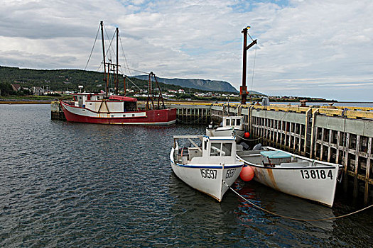 船,码头,岩石,港口,格罗莫讷国家公园,纽芬兰,拉布拉多犬,加拿大