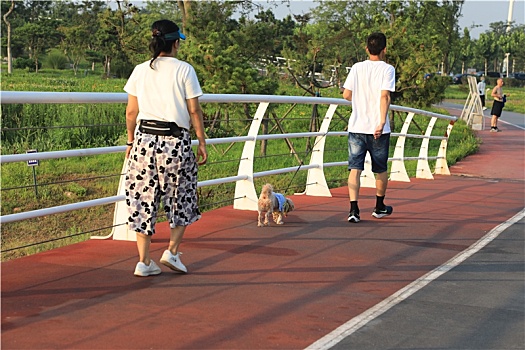 清晨里的海边凉爽宜人,市民悠闲自得散步