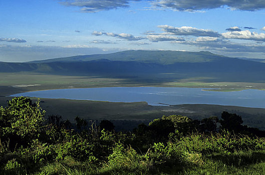 坦桑尼亚,恩戈罗恩戈罗火山口,俯视