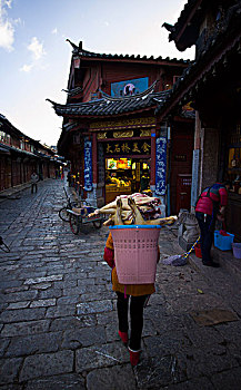 云南,丽江古城,木府,玉兰花