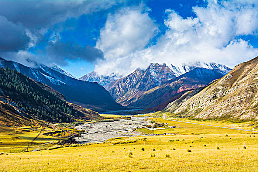 祁连山山麓亚洲最大的半野生鹿基地