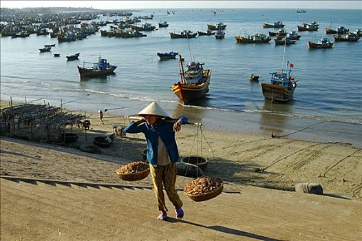 女人,两个,篮子,新鲜,抓住,对虾,美尼,捕鱼,港口,越南,东南亚