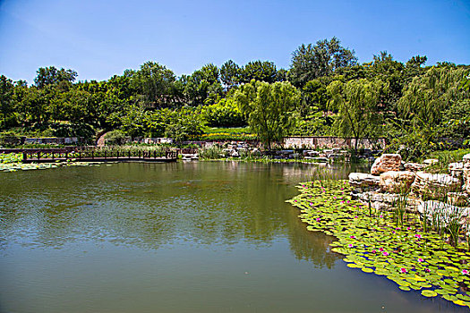 中国古典园林湖泊和木板桥
