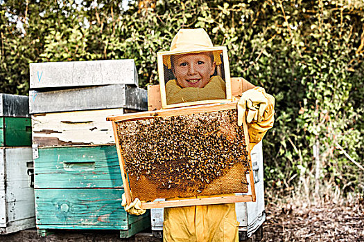 头像,男孩,养蜂人,服装,拿着,蜂窝,满,蜜蜂