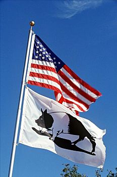 旗帜,吹,风,蓝色,堪萨斯城,美国