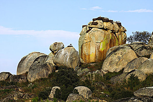 风景,鹳,鸟窝,岩石上,国家公园,埃斯特雷马杜拉,西班牙,欧洲