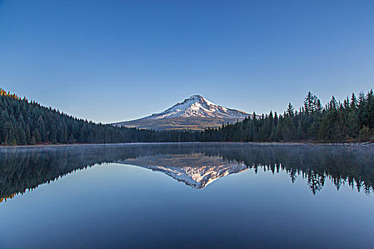 胡德山,平静,水,延龄草,湖,胡德山国家森林,俄勒冈,美国