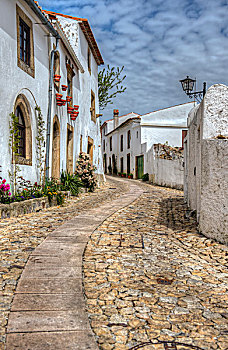 鹅卵石,街道,花,白色,建筑,城镇,葡萄牙