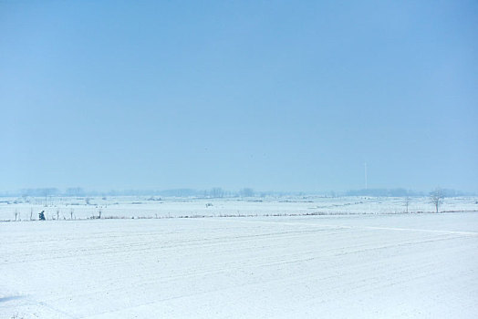 蓝天下的雪地