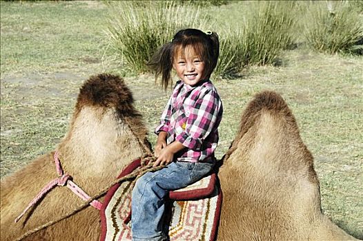 孩子,蒙古人,女孩,坐,驼峰,双峰骆驼,蒙古