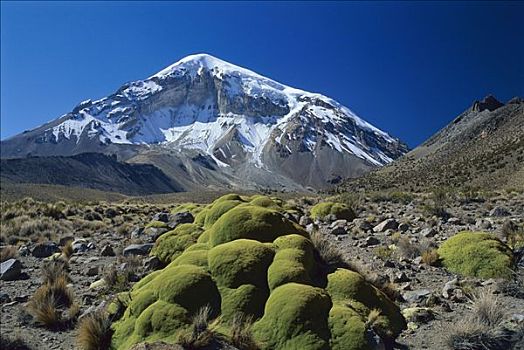 内华达,顶峰,国家公园,玻利维亚