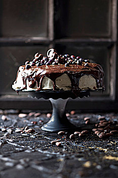 黑巧克力,蛋糕,糖衣,巧克力涂层,可可,笔尖