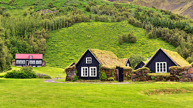 历史,房子,户外,博物馆,靠近,环路,瑟德兰德,南,冰岛,欧洲