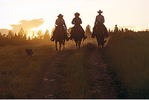 三个人,骑马,道格拉斯湖牧场,不列颠哥伦比亚省,加拿大
