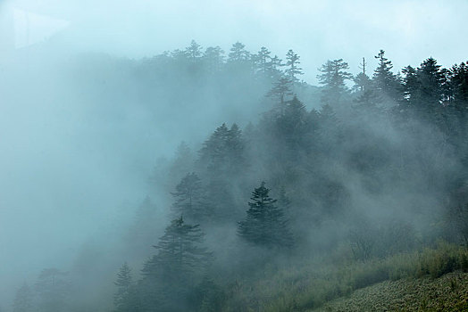 神农架,神农顶,风景,景点,旅游,高山,瀑布,河流,神秘,树木,植被,石头,鄂西,云海,峡谷,壮观